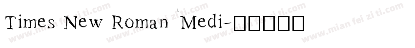 Times New Roman Medi字体转换